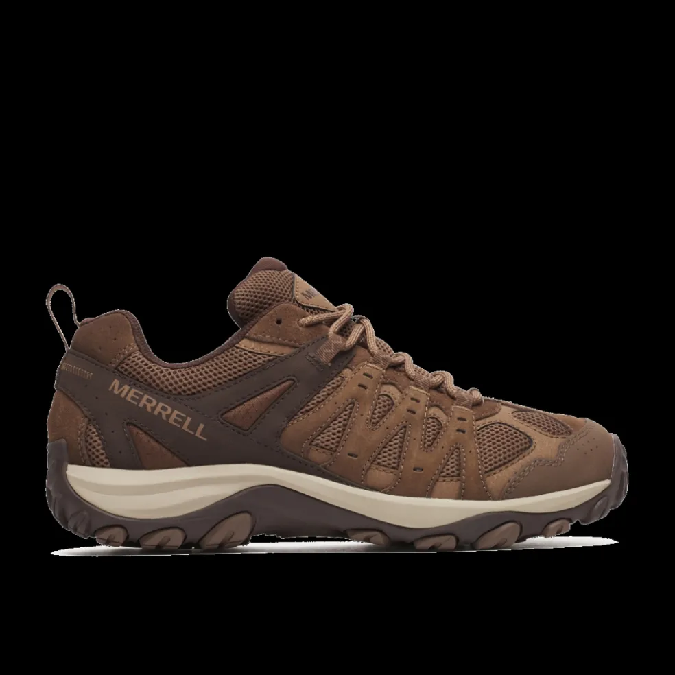 Accentor 3 Homem