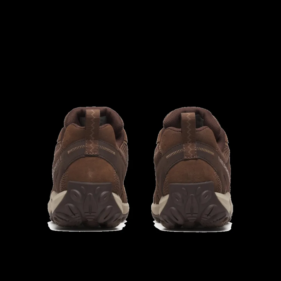 Accentor 3 Homem