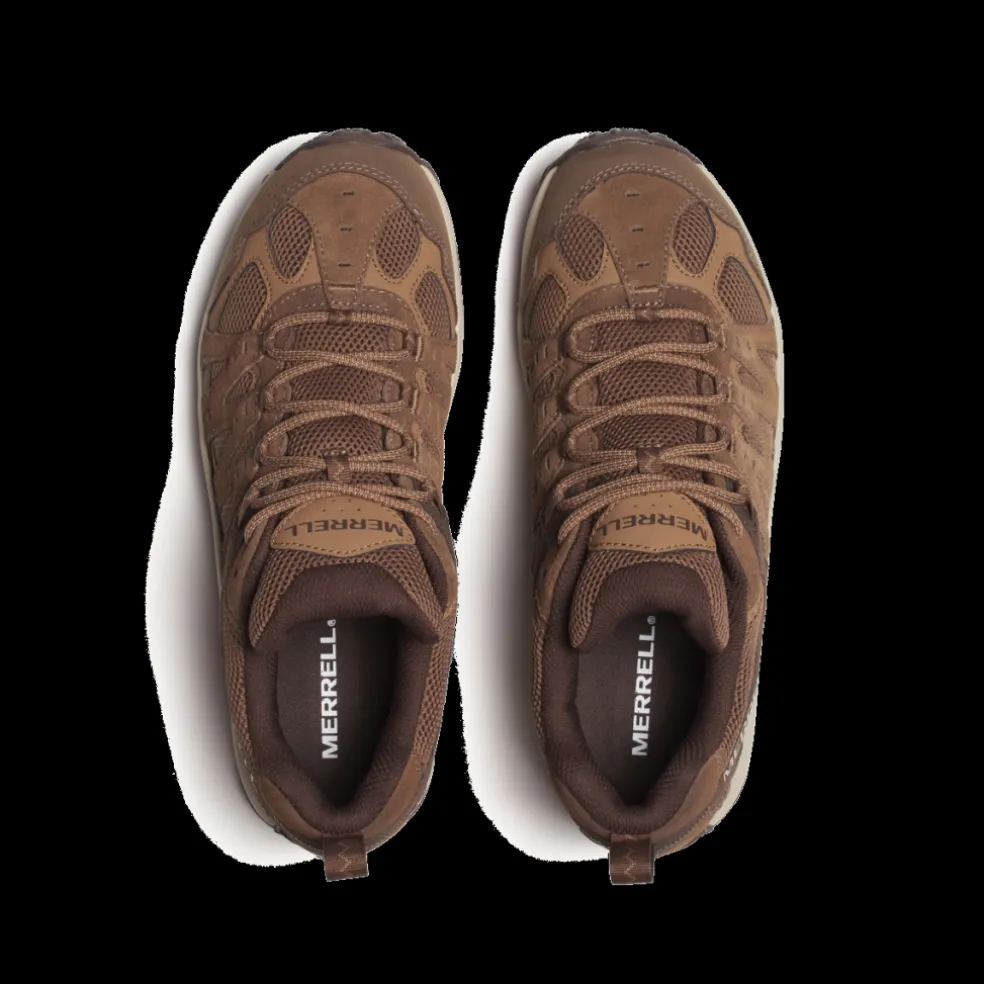 Accentor 3 Homem
